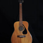 Guitarra acústica de 12 cuerdas